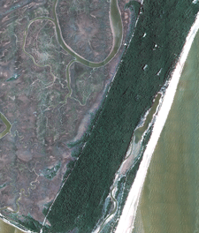Small image of Geologic Map Data
