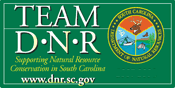Team DNR Sticker