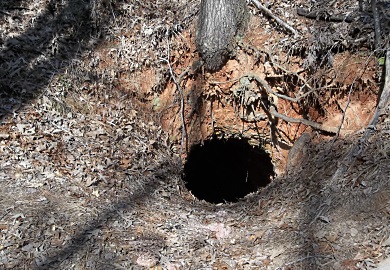 Do you own a cave or an old mine that you would like tested for White-nose Syndrome (WNS) this coming winter? If so, the S.C. Department of Natural Resources may be able to help. WNS is a disease that has devastated bat populations since it was first documented in New York 10 years ago. (SCDNR photo)