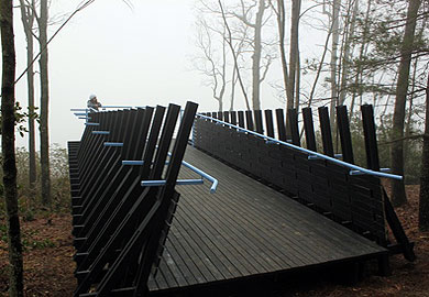 Sassafras overlook