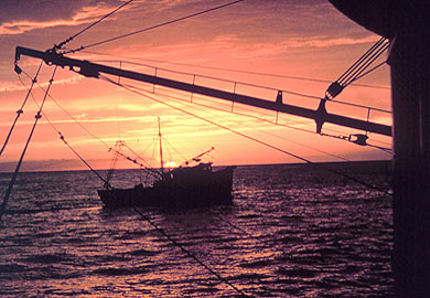 Shrimp Trawler boat at sunset