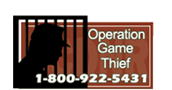 Operation Game Thief