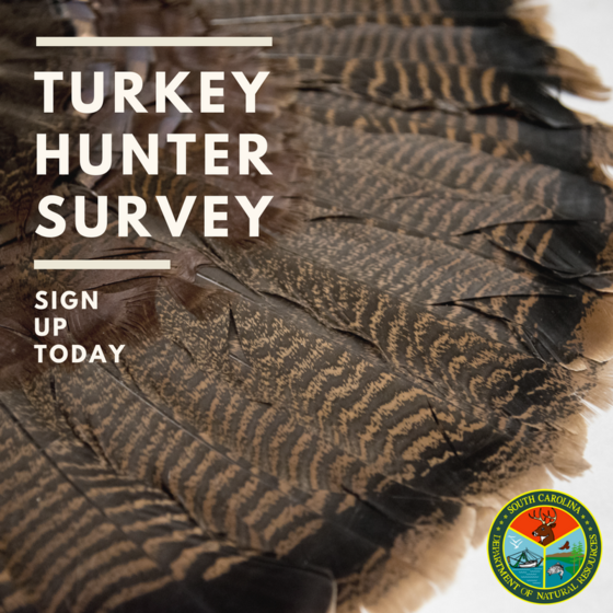 Turkey Hunter Survey
