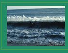 Picture of Ocean Waves