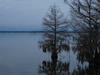 Photographs of Lake Marion