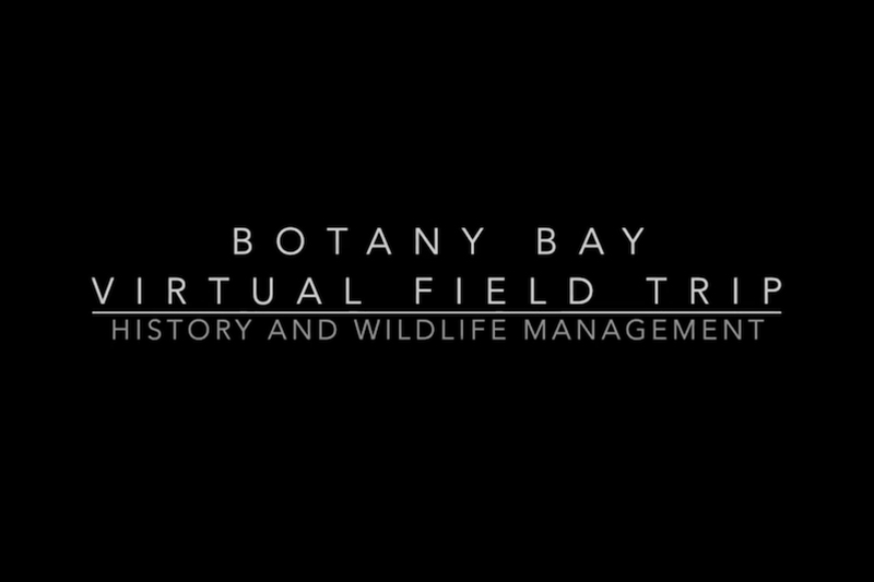 A preview of a virtual field trip to Botany Bay covering history and wildlife management
