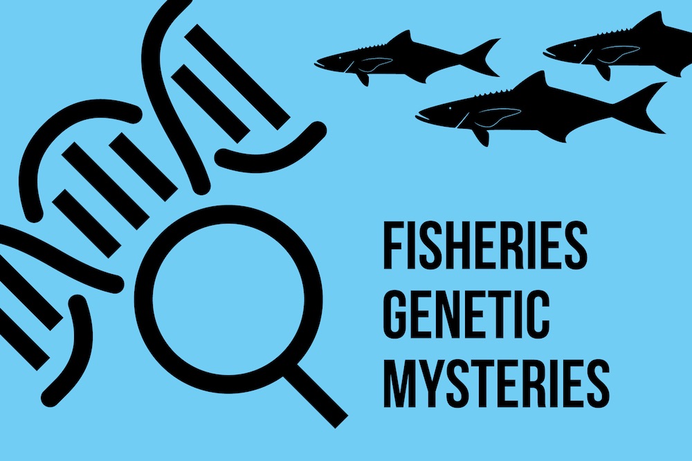 Fisheries Genetic Mysteries