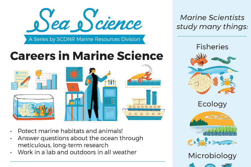 The front page of SCDNR's Sea Science publication on Careers in Marine Science showing illustrations of marine science topics including fisheries, ecology, and microbiology.