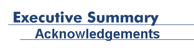 Executive Summary: Acknowledgements