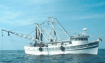 R/V Lisa