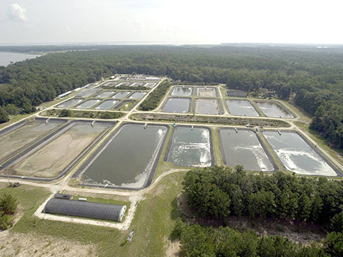 Aerial Photograph of Waddell Mariculture Center