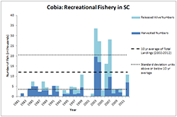 Cobia Recreational Fishery Graph - Select image to view larger graph