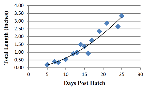 Figure 2. Growth rate of juvenile cobia (n=329) in nursery ponds at Waddell Mariculture Center.