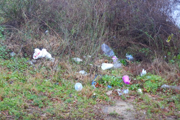 Litter at a heritage preserve