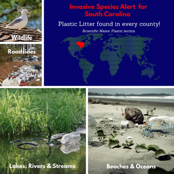Invasive Species Alert for South Carolina, Plastic Litter found in every county!