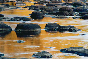 Rocks on the Saluda River