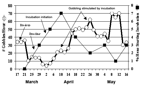 Comparison of Peak Gobbling and Beginning dates for incubation by hens in SC