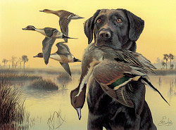 2004 & 2005 Duck Stamp