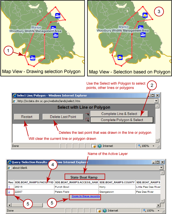 Example of the Select by Polygon Tool