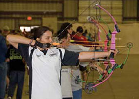 Archery Target Picture