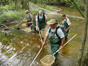 Electrofishing