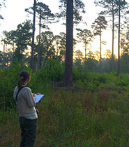 Biologist Amy Tegeler