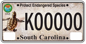 Endangered Species Plate (loggerhead sea turtle)
