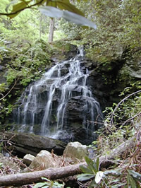 Waterfall at Jocassee