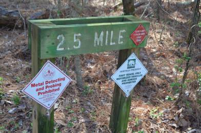 A trail marker