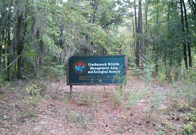 Crackerneck Wildlife Management Area and Ecological Reserve consists of 10,600 acres in Aiken County owned by the U.S. Department of Energy and managed by the S.C. Department of Natural Resources. Crackerneck will be open to the public Saturdays in March. 