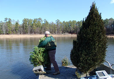 Christmas Trees as fish attractors