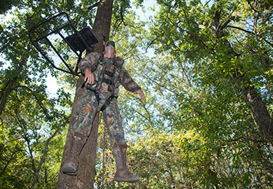 Tree stand safety harness