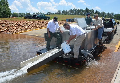 DNR staff release 20,000 striped bass fingerlings into Lake Hartwell June 3 at Green Pond Landing and Event Center in Anderson County. From left are DNR staff Ross Self, Brian Groomes, Dan Rankin and Jared Breaux. (DNR photo by Greg Lucas)