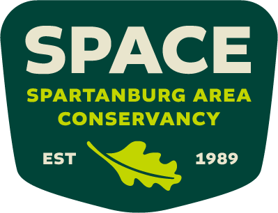 SPACE Logo