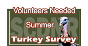 Volunteers Need for Turkey Survey