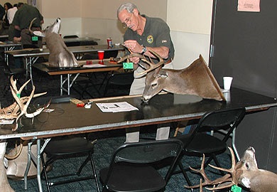 Antler-scoring sessions conducted by SCDNR recognize outstanding deer taken in South Carolina, and they also help wildlife biologists identify areas that produce quality deer. (SCDNR photo)