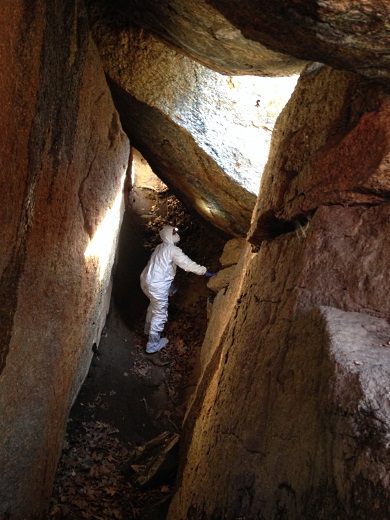 SCDNR wildlife biologist Jennifer Kindel surveys a bat roosting area in WNS decontamination gear.
