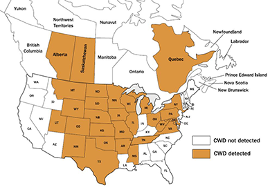 Map of United States which inidcates where CWD has been detected.