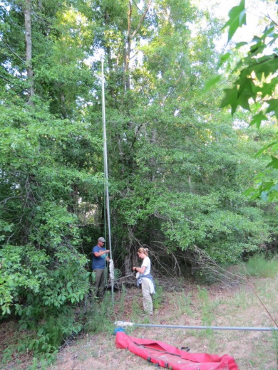 Setting up mist nets on a pulley system to capture bats. 