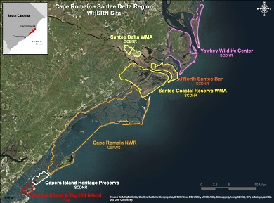 The Cape Romain - Santee Delta Region WHSRN site includes a number of private, state, and federal properties.