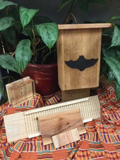Join SCDNR at the Greenville Zoo for the 'What's Up With Bats?' workshop October 23 and take home a completed bat box for your yard or garden.