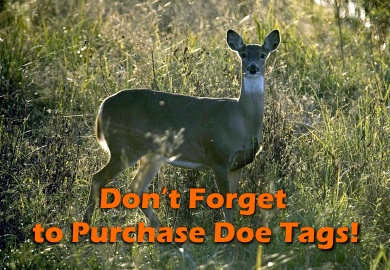 Order your antlerless deer tags soon to ensure prompt arrival!