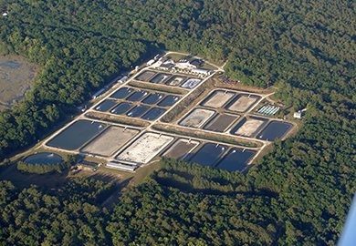 Aerial view of stocking facility