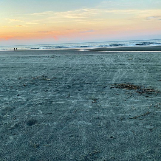 The tracks left by dozens of sea turtle hatchlings are visible in this early morning shot shared by the Town of Kiawah