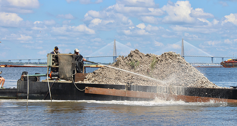 A healthy oyster population depends on recycled oyster shells, which SCDNR staff collect and use to rebuild South Carolina's oyster reefs. Here, biologists 'plant' recycled and quaratined shell in a new location to encourage reef growth. (Photo: E. Weeks/SCDNR)