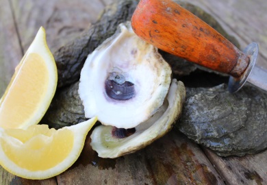 Shellfish season in South Carolina typically runs from October to May.