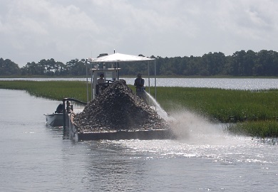 SCDNR staff return recycled and quarantined oyster shells to the salt marsh to help rebuild oyster reefs. (Photo: SCDNR)