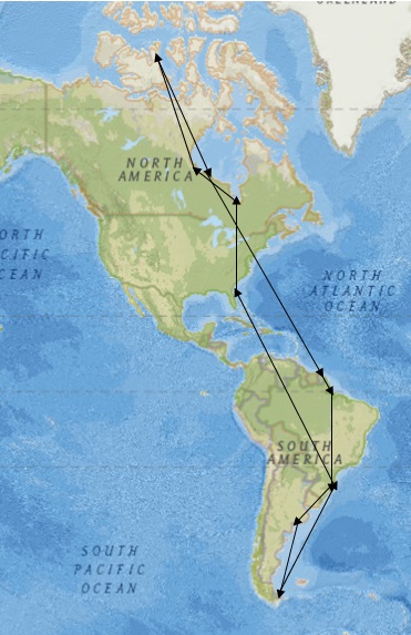 This image, a collaborative effort between SCDNR, Ron Porter, Larry Niles, and the U.S. Fish and Wildlife Service, shows the one-year migration path of a red knot. 