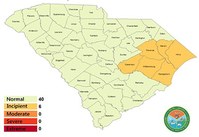 Map of south carolina showing all counties. All but 6 counties are in the Normal drought condition. Clarendon, Florence, Marion, Horry, Williamsburg, and Orangeburg counties are identified as in the Incipient drought condition. No counties are in the Moderate, Severe, or Extreme drought counties.