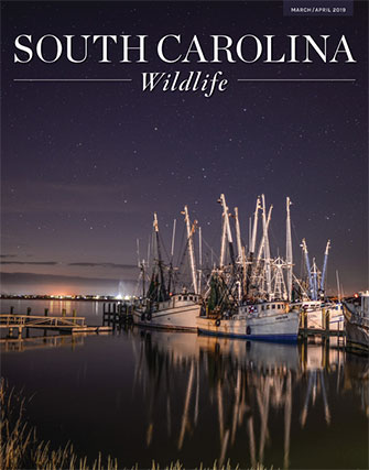 South Carolina Wildlife magazine cover